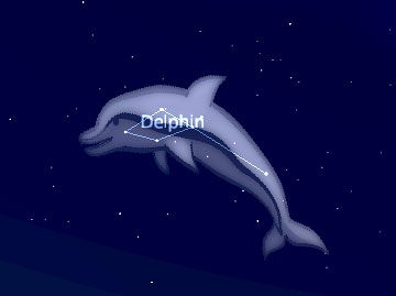 Stermnbild Delfin (erstellt mit Stellarium)