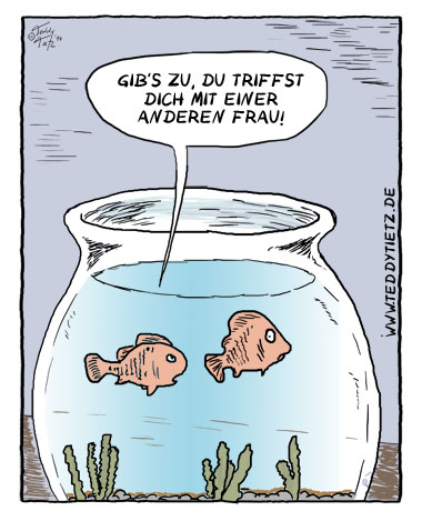 Eifersucht im Fischglas