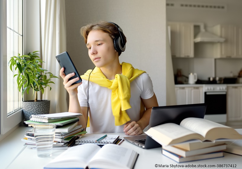 Schüler lernt im Distanz-Unterricht