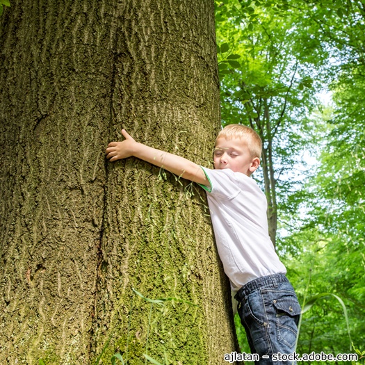 Junge umarmt Baum