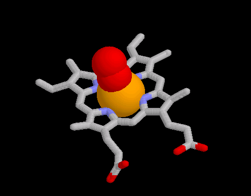 Darstellung der Sauerstoffbindung an der die Häm-Gruppe aus der Lernumgebung von Eric Martz.