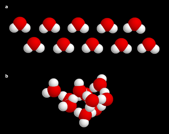 Zehn Wassermoleküle, ordentlich aufgereiht (a) und nach der Bildung von Wasserstoff-Brücken (b)