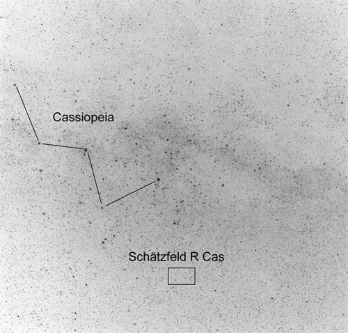 Fotoplatte aus dem Sonneberger Archiv mit dem Sternbild Cassiopeia und dem Schätzfeld um den Veränderlichen R Cas