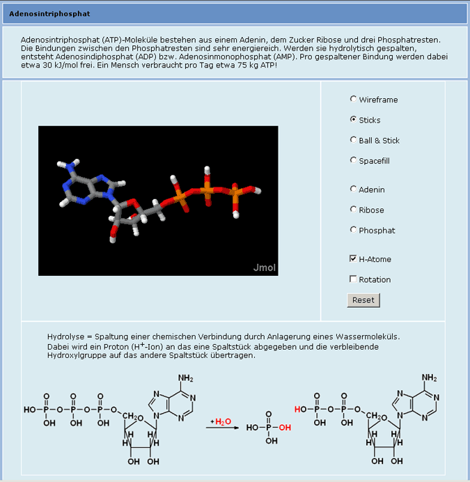 2_atp_synthase_atp_popup.gif