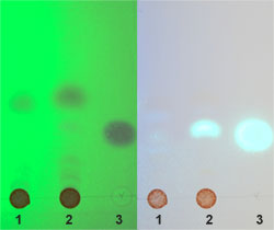 Dünnschichtchromatographie zur Analyse verschiedener Zimtsorten