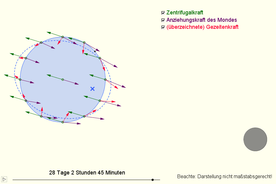 Dynamische Darstellung der resultierenden Gezeitenkräfte (Screenshot)