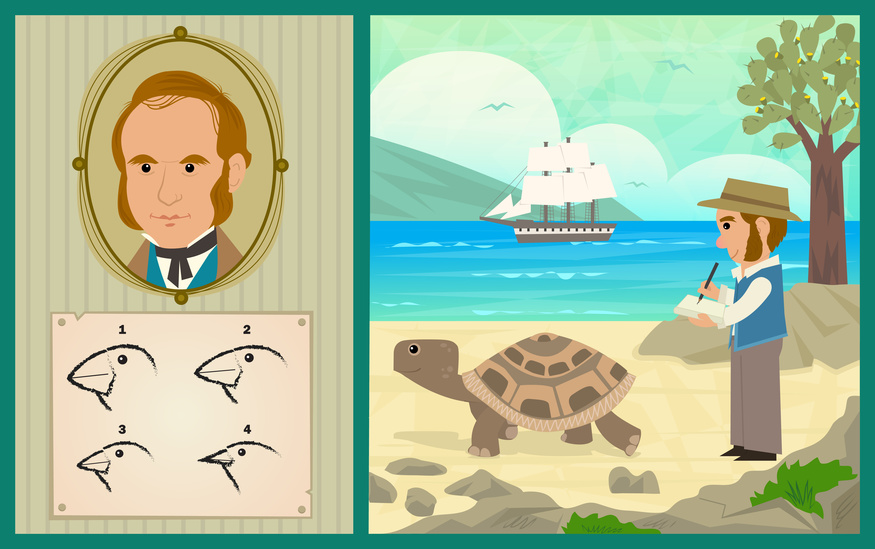Evolution Charles Darwin