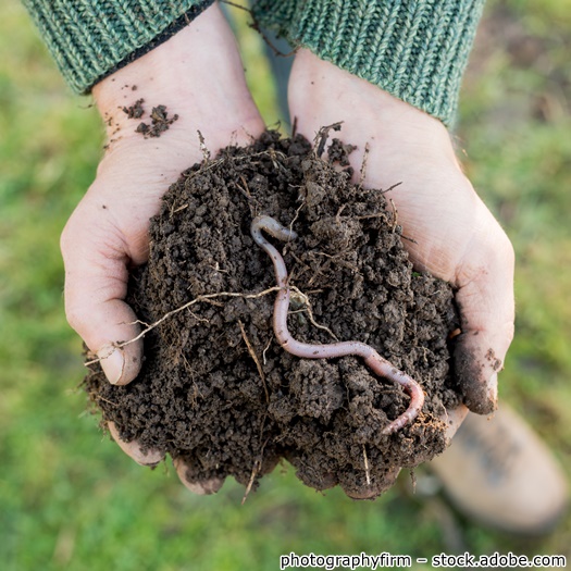 Kind hält einen Regenwurm in der Hand