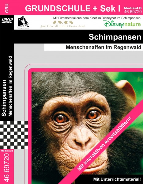 Schimpansen - Menschenaffen im Regenwald: DVD mit Unterrichts- und Begleitmaterial