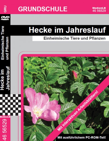 Hecke im Jahreslauf - Einheimische Tiere und Pflanzen: DVD mit interaktiven Arbeitsblättern