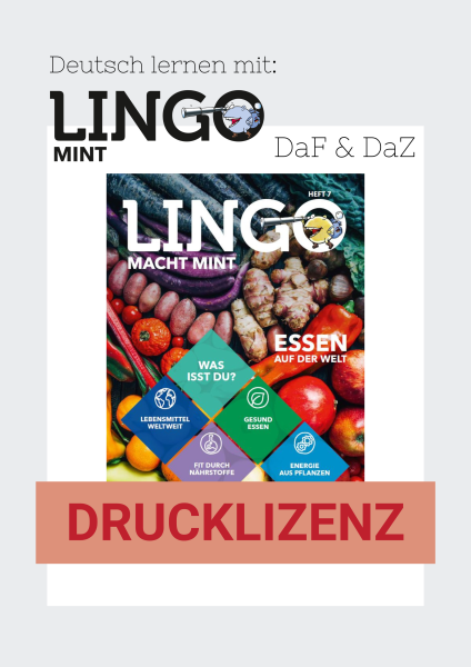 Lingo macht MINT Drucklizenz 7 Essen auf der Welt