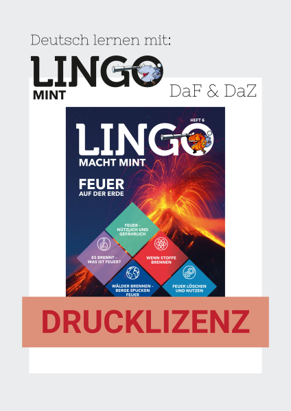 Lingo macht MINT Drucklizenz 6 Feuer auf der Erde