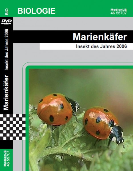 Marienkäfer - Insekt des Jahres 2006: DVD mit Begleitmaterial