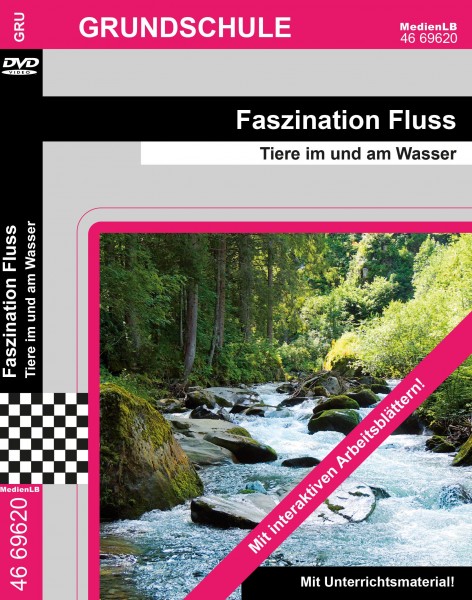 Faszination Fluss - Tiere im und am Wasser: DVD mit interaktiven Arbeitsmaterial