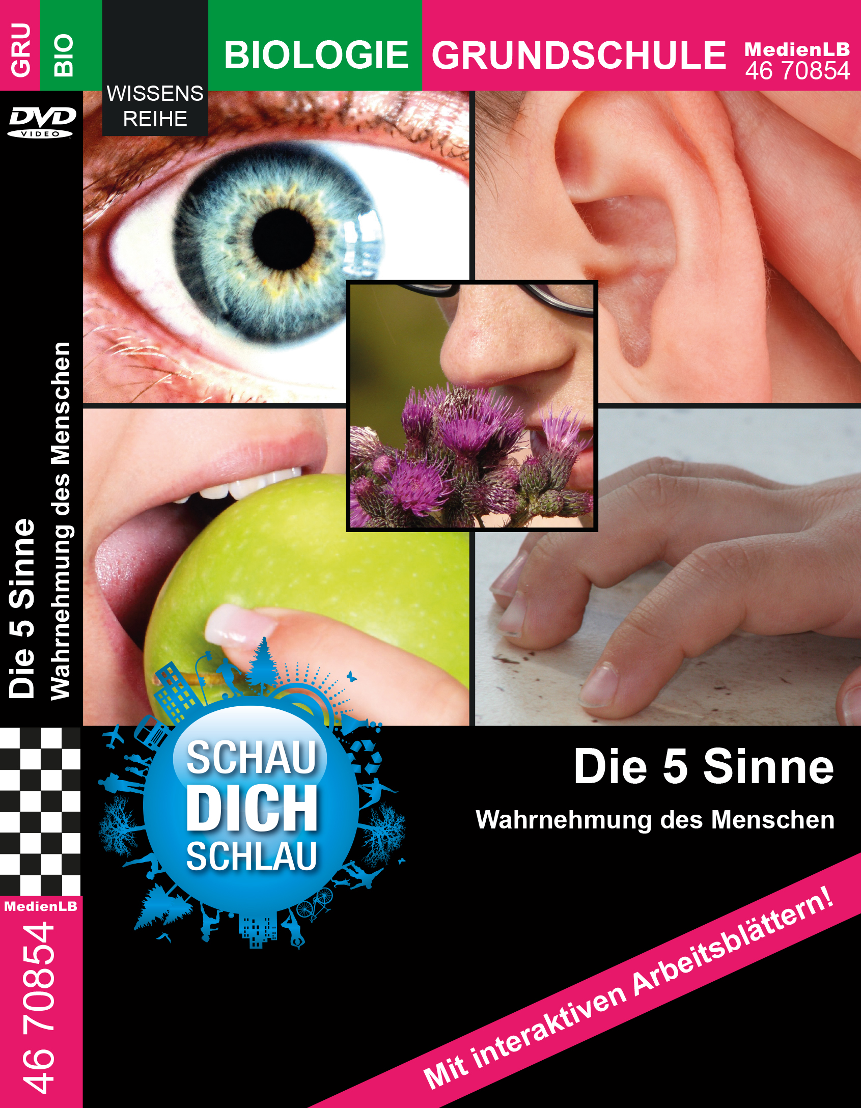 Die 5 Sinne Wahrnehmung des Menschen Alle Produkte