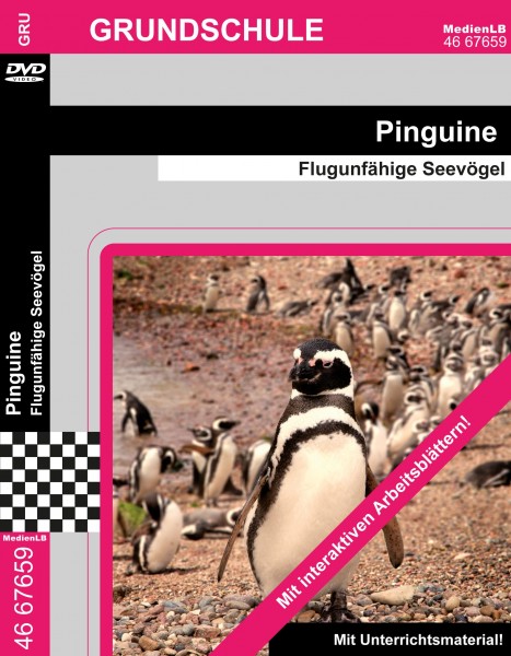 Pinguine - Flugunfähige Seevögel: DVD mit interaktiven Arbeitsmaterial