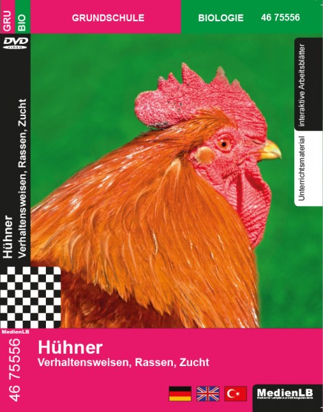 Hühner - Verhaltensweisen, Rassen, Zucht: DVD mit Unterrichts- und Begleitmaterial