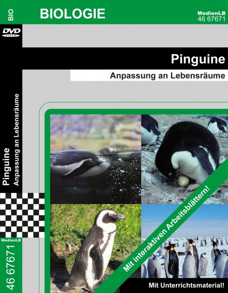 Pinguine - Anpassung an Lebensräume: DVD mit interaktiven Arbeitsblättern