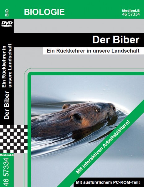 Der Biber - Ein Rückkehrer in unsere Landschaft