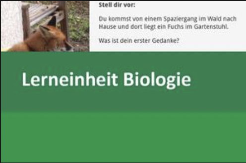 Interaktive Lerneinheit Biologie 10 – Das Gedächtnis