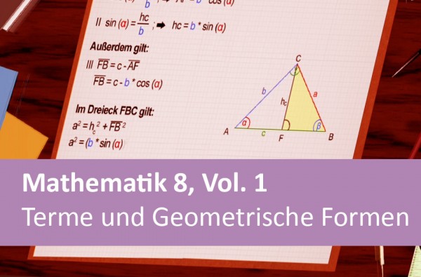 Interaktives Arbeitsheft Mathematik Terme und Geometrische Formen 8.