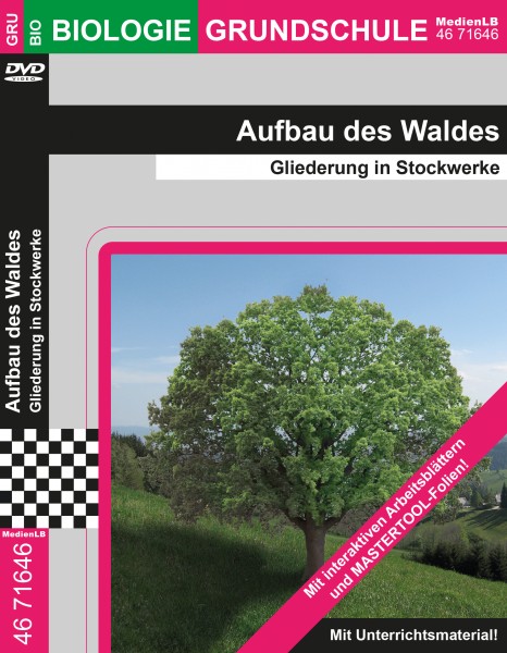 Aufbau des Waldes - Gliederung in Stockwerke