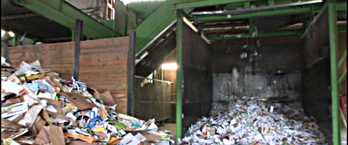 Müll - Trennen - Entsorgen - Recyceln: DVD mit interaktiven Arbeitsblättern