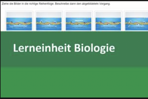 Interaktive Lerneinheit Biologie 5 - Die Muskeln des Menschen