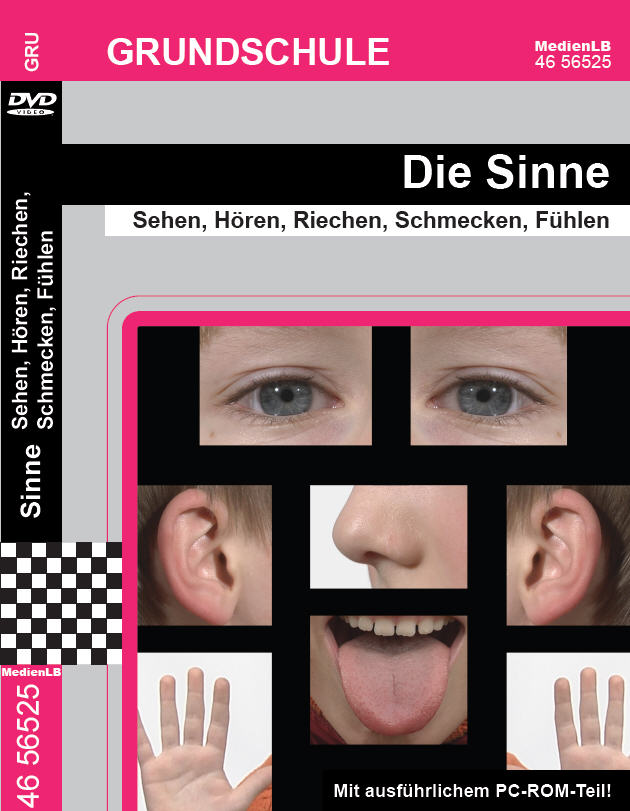Schmecken sehen hören riechen Synästhesie