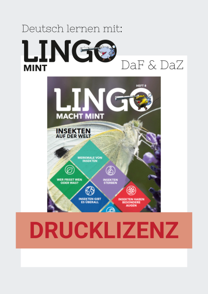 Lingo macht MINT Drucklizenz 8 Insekten auf der Welt