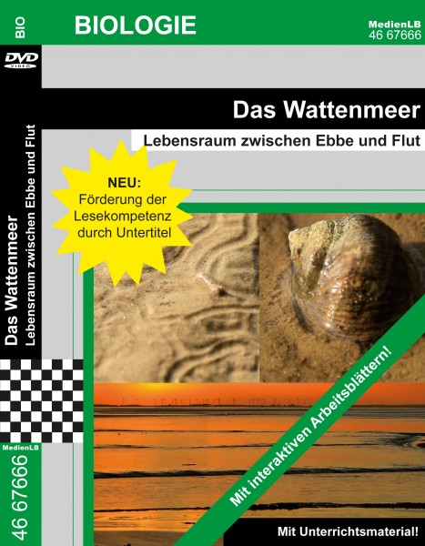 Das Wattenmeer - Lebensraum zwischen Ebbe und Flut: DVD mit interaktiven Arbeitsblättern