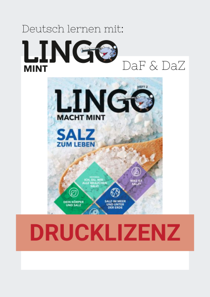 Lingo macht MINT Drucklizenz 2 Salz