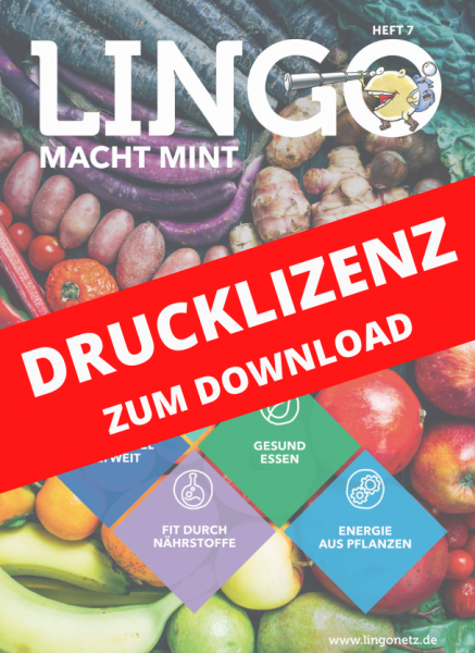 Lingo macht MINT Drucklizenz 7 Essen auf der Welt