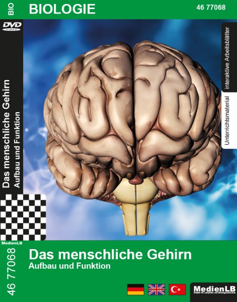 Das menschliche Gehirn - Aufbau und Funktion: DVD mit Unterrichts- und Begleitmaterial
