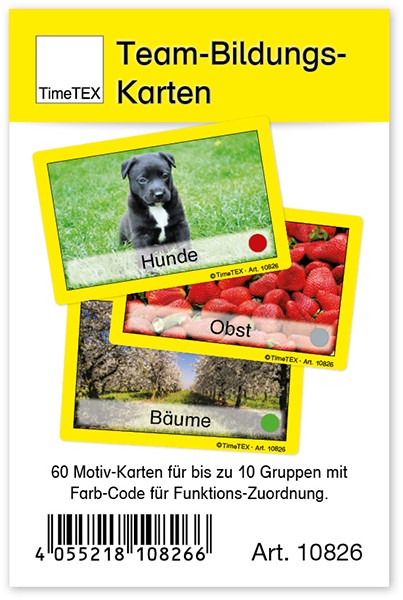 Team-Bildungs-Karten, 60-tlg. im Etui