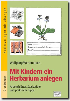 Mit Kindern ein Herbarium anlegen