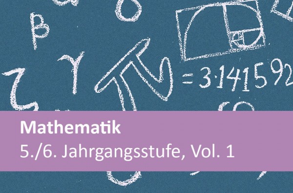 Interaktives Arbeitsheft Mathematik-5-6 Vol. 1