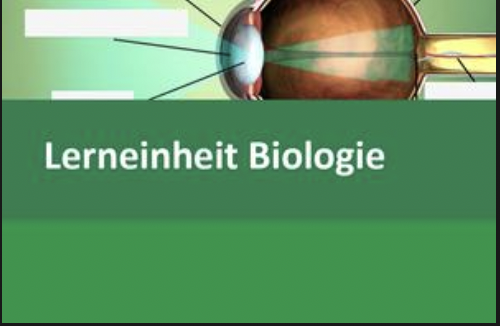 Interaktive Lerneinheit Biologie 5 – Aufbau und Funktion des Auges