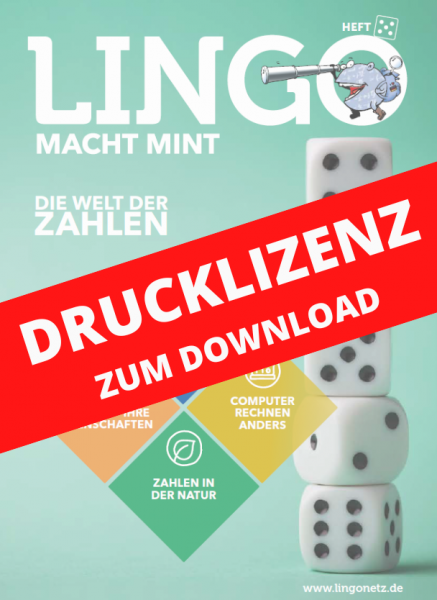 Lingo macht MINT Drucklizenz 5 Die Welt der Zahlen