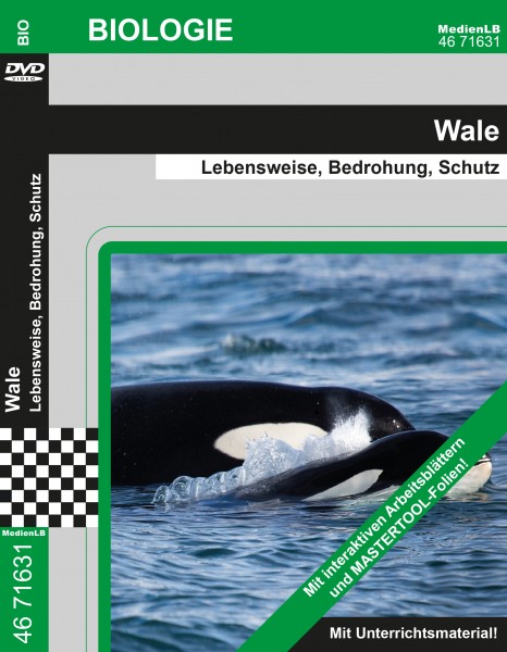 Wale - Lebensweise, Bedrohung, Schutz: DVD mit interaktiven Arbeitsblättern und MasterTool Folien