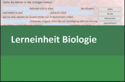 Interaktive Lerneinheit Biologie 8 – Enzyme: Definition und Funktion