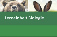 Interaktive Lerneinheit Biologie 5 – Das Ohr