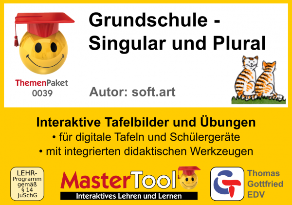 MasterTool - Grundschule - Singular und Plural (TP 39)