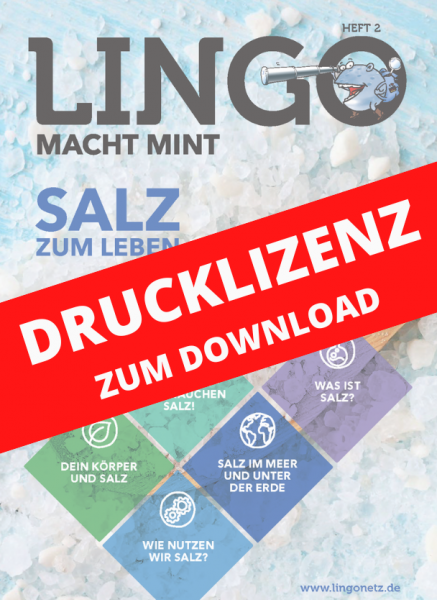 Lingo macht MINT Drucklizenz 2 Salz