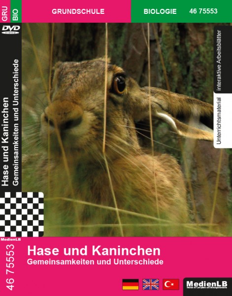 Hase und Kaninchen - Gemeinsamkeiten und Unterschiede: DVD mit Unterrichts- und Begleitmaterial