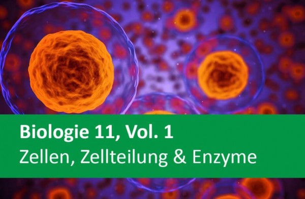 Interaktives Arbeitsheft Biologie, Zellen, Zellteilung & Enzyme 11.