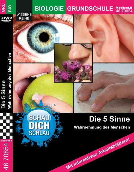 Die 5 Sinne - Wahrnehmung des Menschen: DVD mit interaktiven Arbeitsblättern