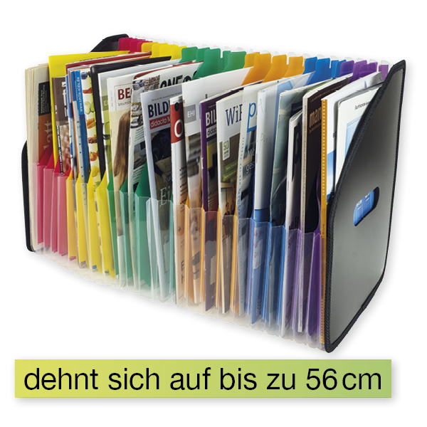 Stehsammler "Fächerstar" A4