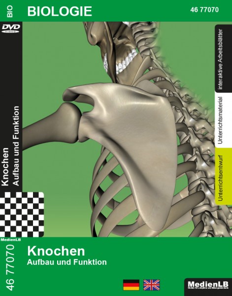 Knochen - Aufbau und Funktion: DVD mit Unterrichts- und Begleitmaterial