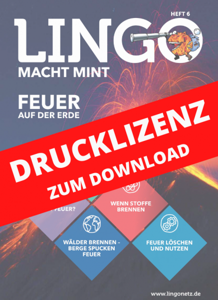 Lingo macht MINT Drucklizenz 6 Feuer auf der Erde
